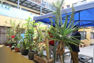 WhatsApp Image 2025-07-17 at 13.40.59.jpeg